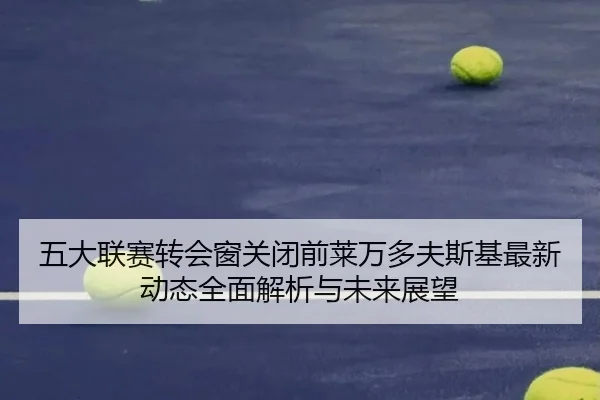 五大联赛转会窗关闭前莱万多夫斯基最新动态全面解析与未来展望